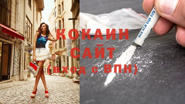 гашик Волосово