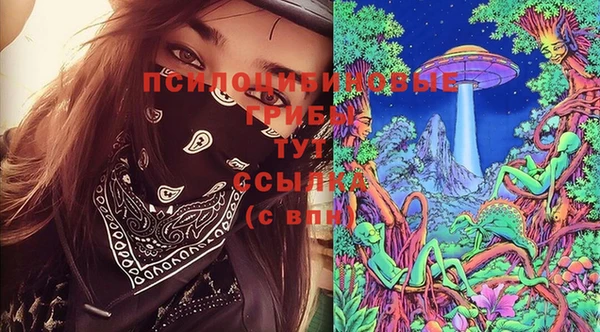 хмурый Богородск