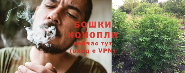 хмурый Богородск