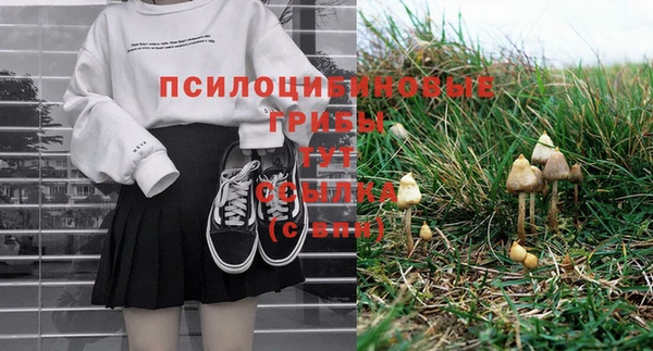 хмурый Богородск